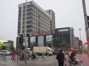 上海金鼎香樟苑：配套實(shí)景、樣板間與戶型全解析