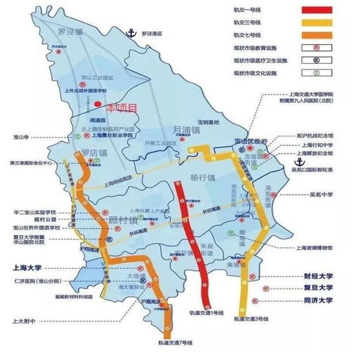 上海市寶山區(qū)潘涇路工業(yè)用地和廠房轉(zhuǎn)讓項目 推動產(chǎn)業(yè)升級與房地產(chǎn)開發(fā)新機遇